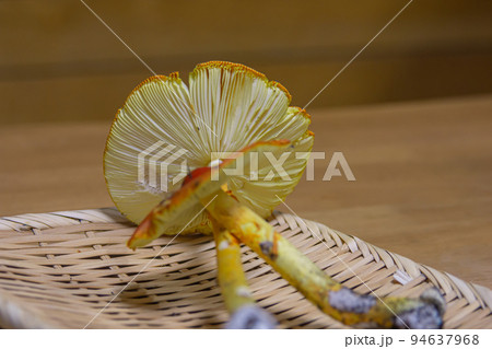 タマゴダケ 赤いきのこ 天然 山菜 タマゴタケ タマゴダケ 赤いきのこ 天然 山菜 タマゴタケ 94637968