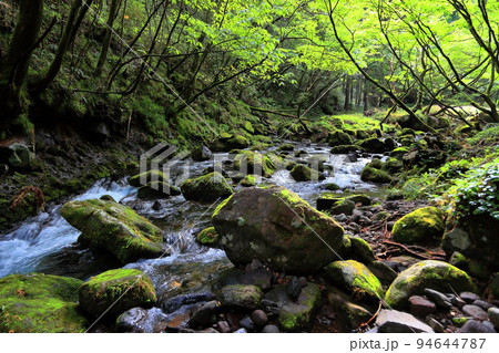 元滝伏流水 もとたきふくりゅうすい 元滝伏流水 もとたきふくりゅうすい 94644787