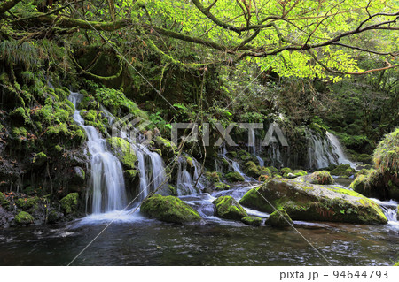 元滝伏流水 もとたきふくりゅうすい 元滝伏流水 もとたきふくりゅうすい 94644793