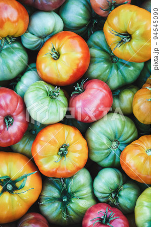 Green yellow red tomatoes food background, harvested tomatoes texture 94645090