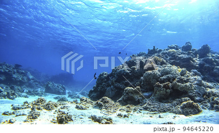 沖縄　阿嘉島のニシハマビーチ　水中撮影 94645220
