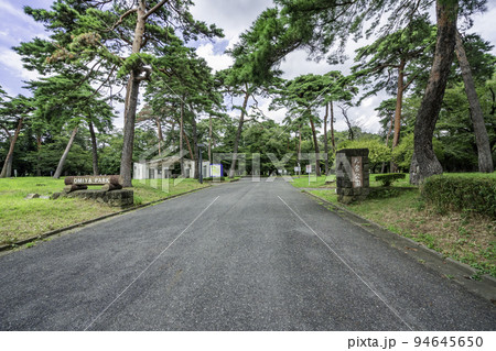 大宮　大宮公園　埼玉県さいたま市 94645650