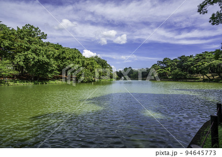 大宮　大宮公園　舟遊池　埼玉県さいたま市 94645773