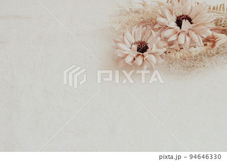 ナチュラルなドライフラワーの背景素材 94646330