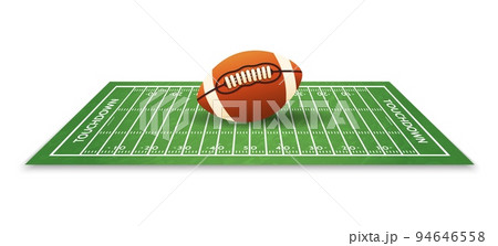 American football ball on grass American football ball on grass 94646558
