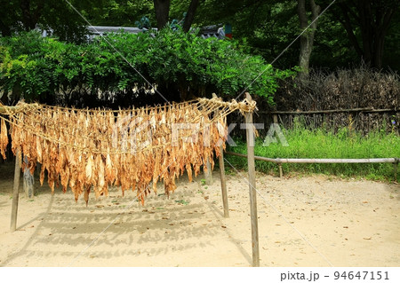 スポット 歴史 古い 94647151