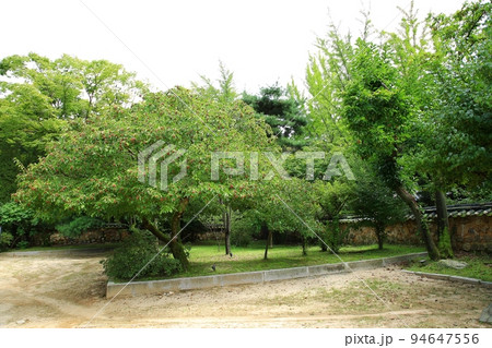 スポット 歴史 古い 94647556