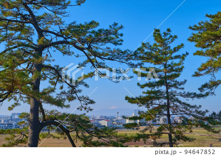 東京都大田区田園調布の多摩川台公園からの西側の眺望 94647852