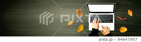 Autumn leaves with person using a laptop computer 94647907
