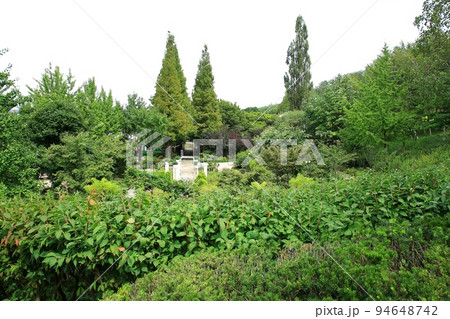 女性 女 女の子 94648742