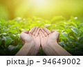 Hand holding with blank on nature background. 94649002