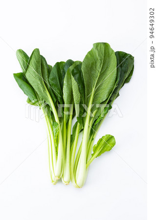 小松菜 94649302