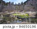 奥日光湯元温泉源泉 94650196