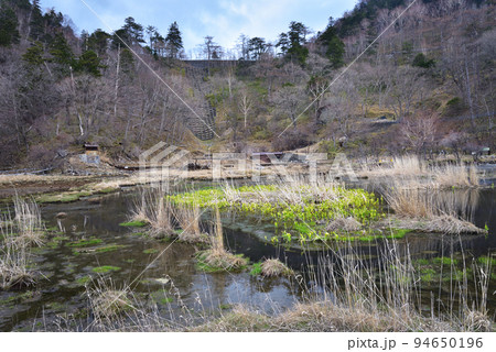 奥日光湯元温泉源泉 94650196