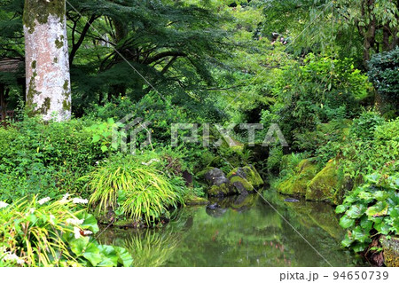 夏の織田信長の館跡散策・35(岐阜市・岐阜公園) 夏の織田信長の館跡散策・35(岐阜市・岐阜公園) 94650739