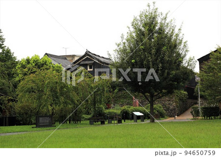 夏の織田信長の館跡散策・52(岐阜市・岐阜公園) 夏の織田信長の館跡散策・52(岐阜市・岐阜公園) 94650759