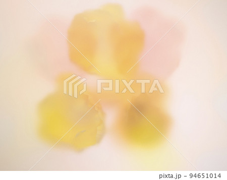 カラフルな光の中の花々 94651014