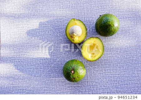 avocado on the grey background avocado on the grey background 94651234