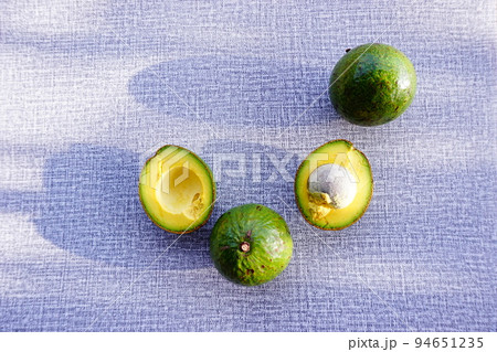 avocado on the grey background avocado on the grey background 94651235