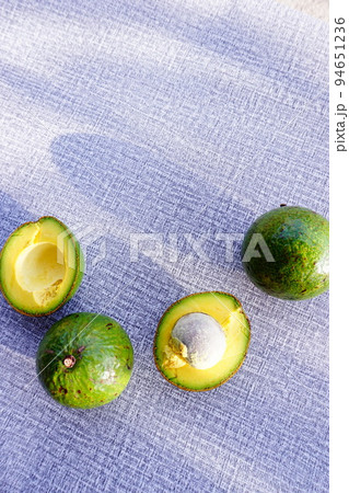 avocado on the grey background avocado on the grey background 94651236