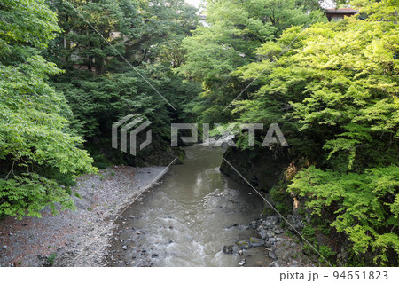 東京都　奥多摩町　夏　氷川小橋から日原川 94651823