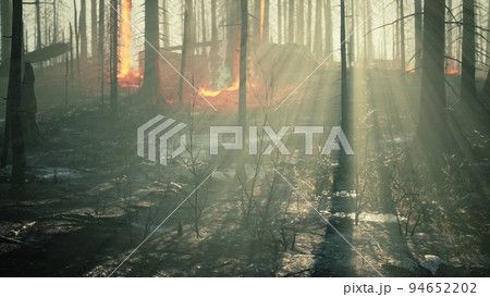 Rain forest fire disaster is burning caused by humans 94652202