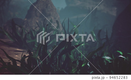 Beautifiul underwater panoramic view with tropical coral reefs 94652283