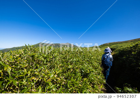 登山をする子供　大雪山 94652307