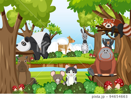 Cute wild animals in the forest 94654663