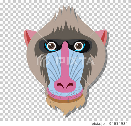 Cute mandrill head in flat cartoon style 94654984