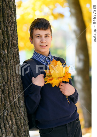 a teenage boy posing in autumn city park, trees with yellow leaves on a bright sunny day a teenage boy posing in autumn city park, trees with yellow leaves on a bright sunny day 94657889