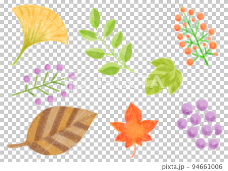 Autumn plants _ set Autumn plants _ set 94661006