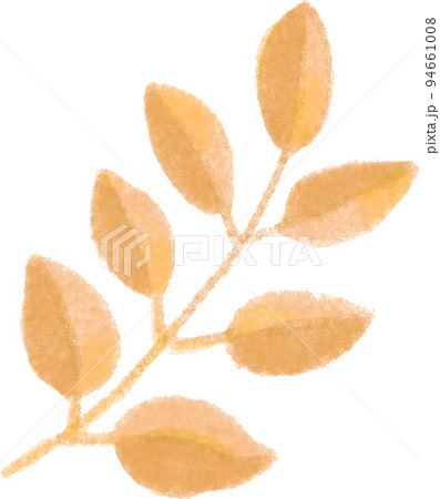 秋の植物_枝葉_黄色系 秋の植物_枝葉_黄色系 94661008