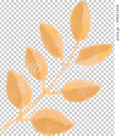 秋の植物_枝葉_黄色系 秋の植物_枝葉_黄色系 94661008
