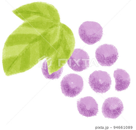 秋の植物_紫の実 秋の植物_紫の実 94661089