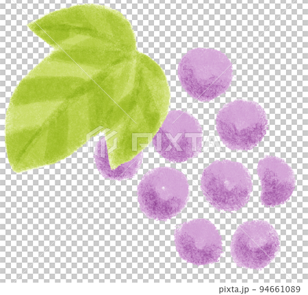 秋の植物_紫の実 秋の植物_紫の実 94661089