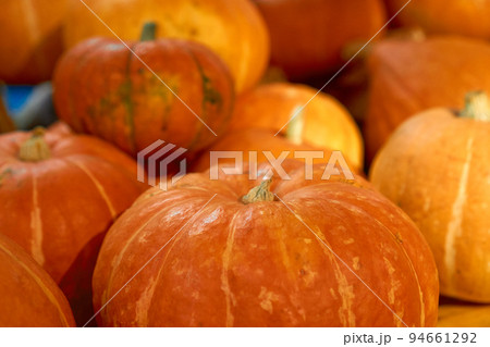 autumn harvest concept. Close up view Bunch of appetizing orange pumpkins, symbol of thanksgiving day and helloween, counter for sale,rural still life, agriculture, farming. horizontal, Background autumn harvest concept. Close up view Bunch of appetizing orange pumpkins, symbol of thanksgiving day and helloween, counter for sale,rural still life, agriculture, farming. horizontal, Background 94661292