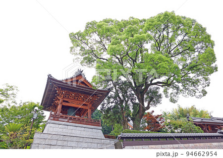 樹木に囲まれた寺の山門 94662954
