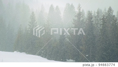 Winter forest landscape static. Snow falls on spruce forest silhouettes background. Beautiful Christmas landscape of fir trees. Heavy natural snowfall. Cold frosty weather nature. Nobody 94663774