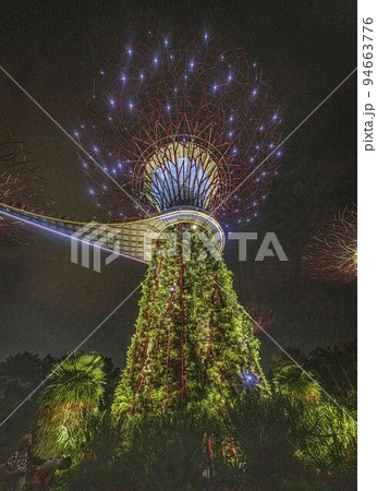 Singapore, July 24, 2022 - Super tree grove lit at night 94663776
