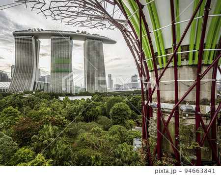 Singapore, July 24, 2022 - Super tree grove tree with Maraina Bay Sands hotel in background Singapore, July 24, 2022 - Super tree grove tree with Maraina Bay Sands hotel in background 94663841