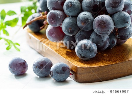 ぶどう (山梨県産 巨峰) 94663997