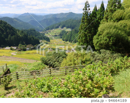 愛知県新城市にある四谷千枚田、稲刈り時期の風景 愛知県新城市にある四谷千枚田、稲刈り時期の風景 94664189