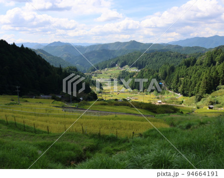 愛知県新城市にある四谷千枚田、稲刈り時期の風景 愛知県新城市にある四谷千枚田、稲刈り時期の風景 94664191