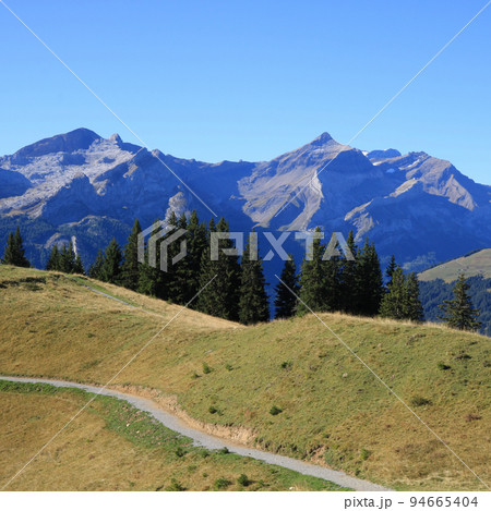 Mount Oldehore seen from Mount Wispile, Gstaad. Mount Oldehore seen from Mount Wispile, Gstaad. 94665404