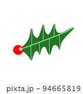 クリスマスによくみる葉っぱ 94665819