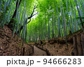 ひよどり坂 千葉県佐倉市 94666283