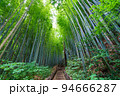 ひよどり坂 千葉県佐倉市 94666287