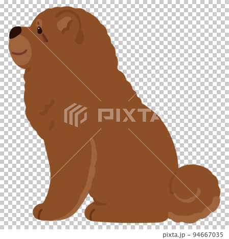 A simple and cute illustration of a chow chow sitting sideways No main line 94667035