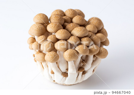 ぶなしめじ 94667040